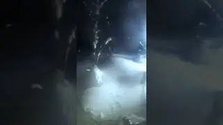 Почему заглох?)) 