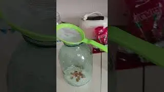 Квас на каркаде #османовагульнара #фаберлик #рецепты #квас