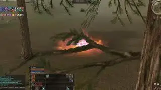 :DDD