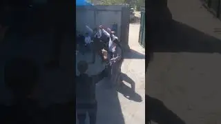 5 мая 2023 г.