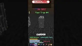 NEW Pest Traps!! 