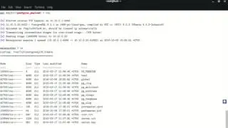 Hacking Tutorial 5 Kali Linux Exploiting PostgreSQL on Linux Metasploitable