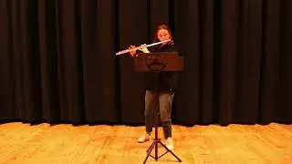 Orchestral extracts flute