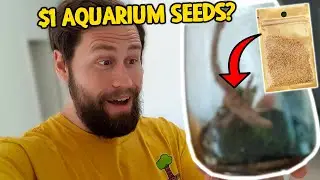 Bought 1$ AQUARIUM SEEDS From Wish so you don't have to...