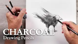 CRETACOLOR | CHARCOAL | Fine Art Charcoal Pencils | CROW