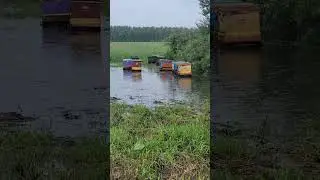 Алтай опять заливают дожди. Один точёк затопило. 