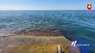 Крым. Лето 2023 года