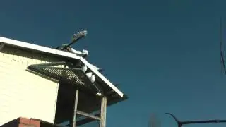 Голуби Геническа 30.11.16г.
