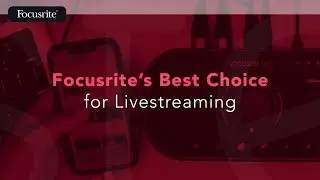 Focusrite's Best Choice for Livestreaming / Focusrite