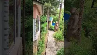 БАЗА ОТДЫХА СОЧИ