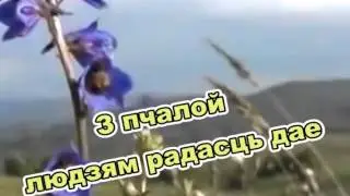 Гимн белорусских пчеловодов