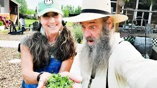 The SUPER FOOD you can GROW ANYWHERE!! WoW Factor..