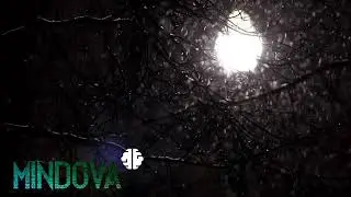 MINDOVA - Falling Snow street light (  Christmas )  Trouble sleeping  watch this.