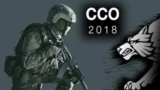 ССО – це …