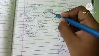 ER diagram Hospital management system  