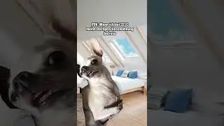 Wer fühlt es auch? 🤣🥵