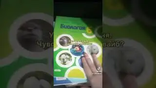 О да. #shorts