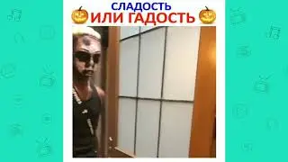 ЛУЧШИЕ ИНСТАВАЙНЫ 2к18! | лучшие из худшие инстаху*йни
