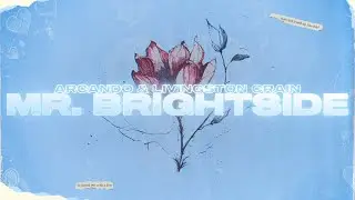 Arcando - Mr. Brightside (with Livingston Crain) [The Killers cover]