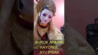 BUROK APA KIE KAYONGE AYU PISAN #burok #ayu  #dangdut