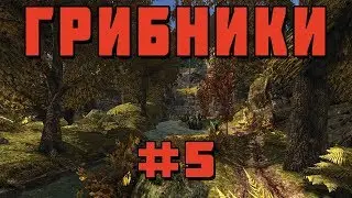 Прохождение Gothic 2 мод [Грибники] [#5] Продолжение путешествия