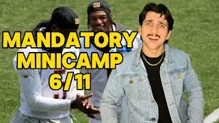 NFL Minicamp & News 6/11