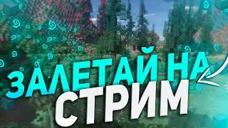 СТРИМ МАЙНКРАФТ  / МИНИ ИГРЫ / МАЙНКРАФТ СТРИМ / РАЗНЫЕ СЕРВЕРА