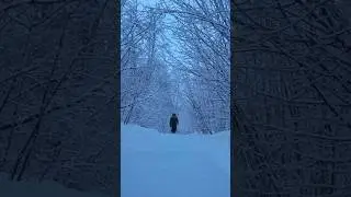 Без названия