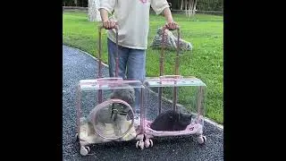 Transparent Pet Carrier With Silent Wheel Telescopic Handle Large Capacity Trolley Case With door