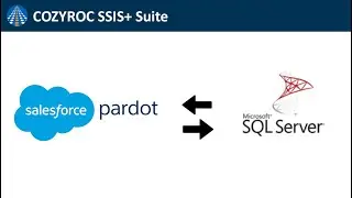 Connect Pardot to SQL Server. SSIS integration. Import data from Pardot to SQL Server database