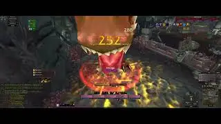 Drak'Tharon Keep - WoW Multiboxing WotLK Classic - Leveling 5x Paladin