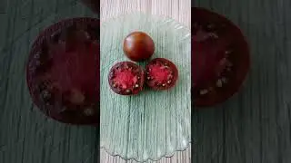 Томат Черный барон.