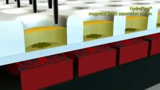 Magnetic bead separation with HydroFlex™ microplate washer