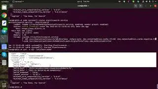 I will do install and configure Elasticsearch on Linux Server