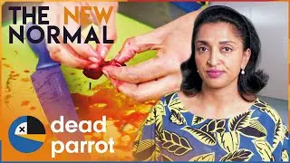 Cooking In The New Normal | Sindhu Vee