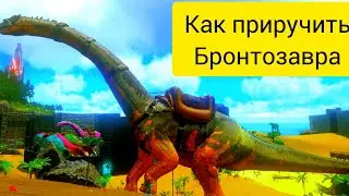 лучший обзор на приручение БРОНТО!!!|стоит ли приручать!?