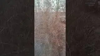 Харків весна наближається 