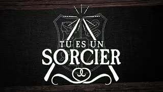 Tu es un Sorcier - Chagrin, Amour & Rancœur