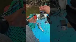 saya tak suka ikan ini 😆#mancing #fishing