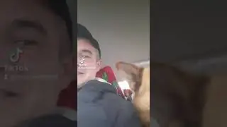 кто ходит в гости по утрам