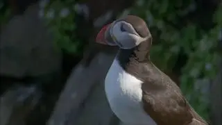 На берегах Атлантики