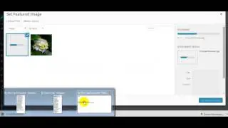 How to add Home page Slider for Bota WordPress Theme with simple Tutorial