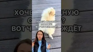 👀 Смотри видео и гайды о том, что скрывают в ветклиниках — ссылка в инфо профиля