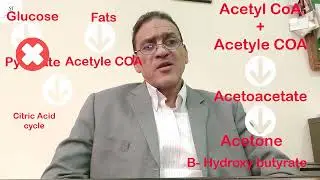 الكيتون في الدم والبول