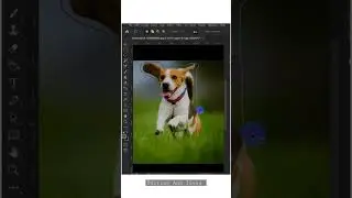 Remove Anything In Photoshop #photoshop #removebackground  #shortvideo #trending #shorts