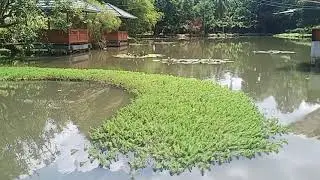 Andai Saja Waktu Itu Aku Tidak Merekam