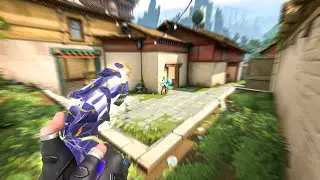 Raw Accel + New Iso Buffs