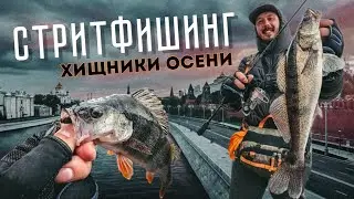 ХИЩНИКИ центра Москвы! СТРИТФИШИНГ. Осенняя рыбалка.