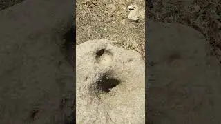 Define işaretleri - Mezar oymalarında nasıl bir yol izlemeliyiz..