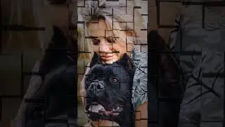 Теперь взрослая Троя #троя #canecorso #canecorsoitaliano #канекорсо #канекорсоитальяно